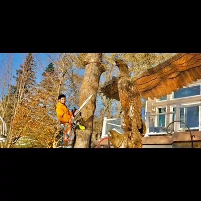 SÁNCHEZ TREE CARE, LLC