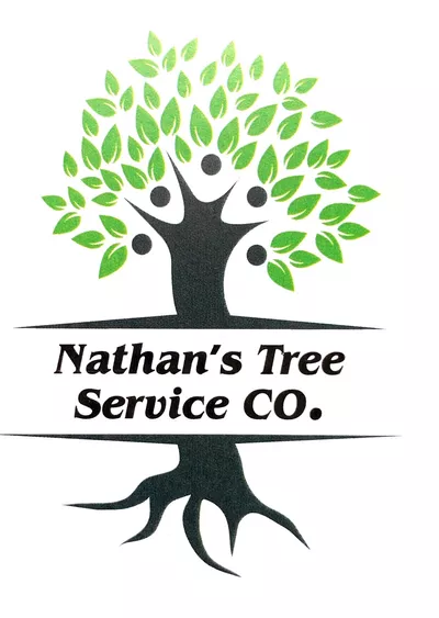 Nathan’s tree service