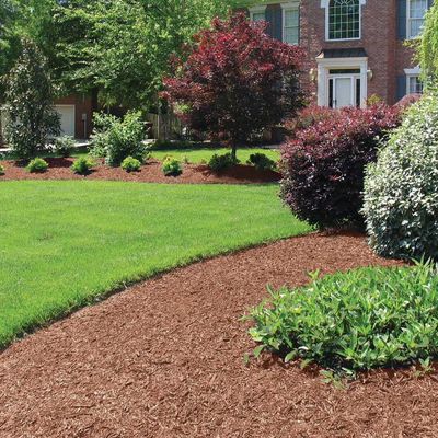 Souza Irrigation and Landscape