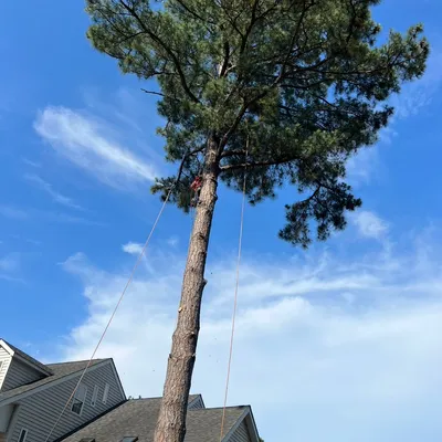 Portillo ii Landscaping LLC