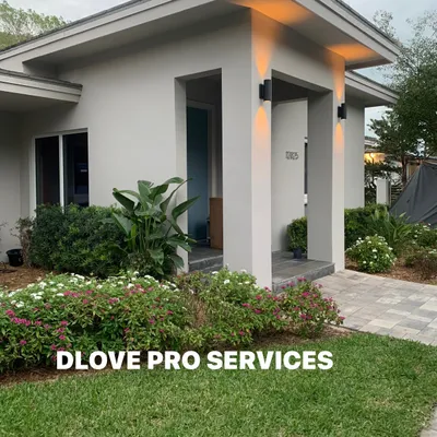 DLOVE PRO SERVICES LLC