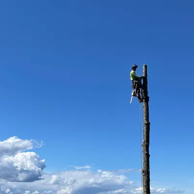 Cascade Tree Care