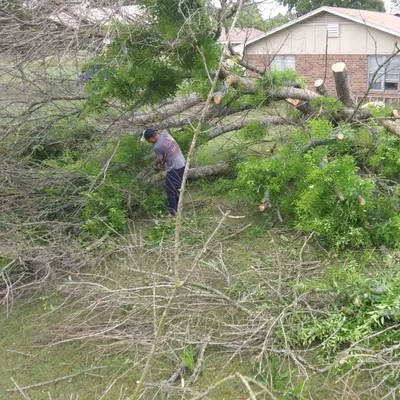 J&E Tree service