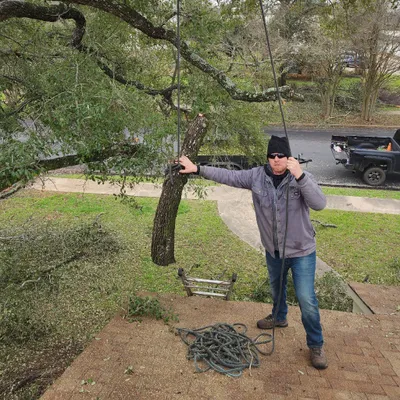 Jared's Tree Trimming and Removal