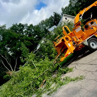 J&J Tree Care