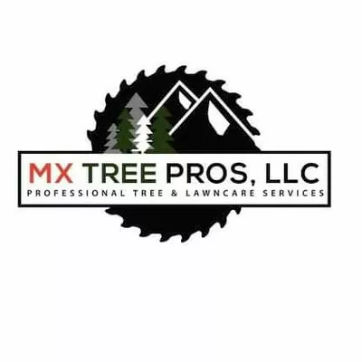 MX TREE PROS LLC