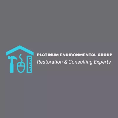 Platinum Environmental Group