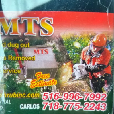 Metropolitan Tree Experts corp