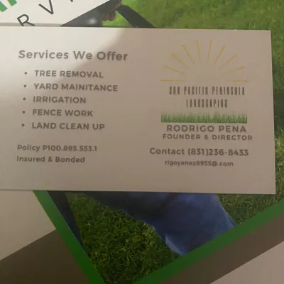 Sun pacific peninsula tree and landscaping