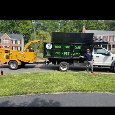 Marcia Tree Care llc