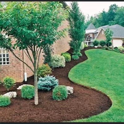 Mike tree services