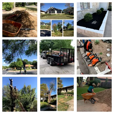 Sanchez Tree Services