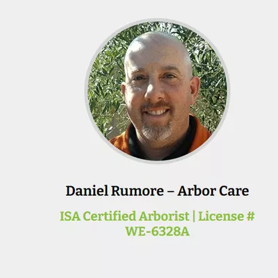 Arbor Care Tree Service