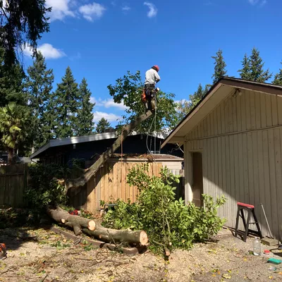 Pacific Land Preservation LLC