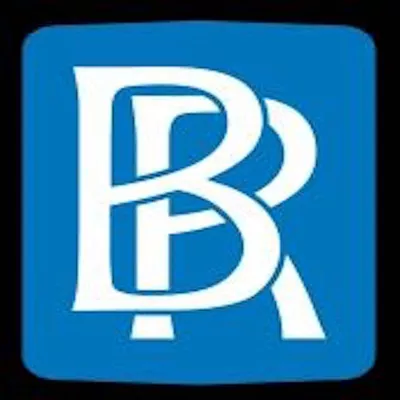 Bernhardt Mold Inspection and Restoration, Inc.