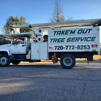 Branching Out Tree Service