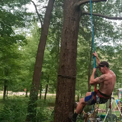 CLIMBMAX TREE SERVICE