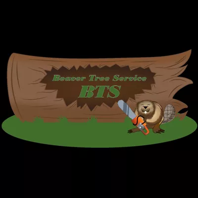 Beaver tree service