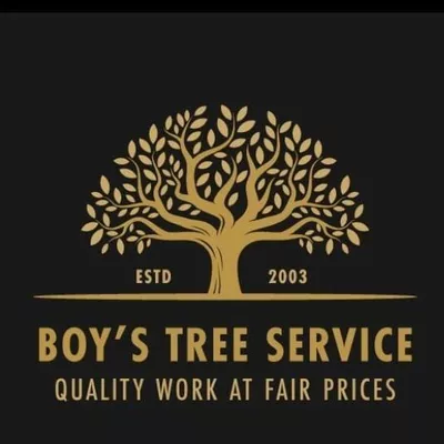 Boy's Tree Service