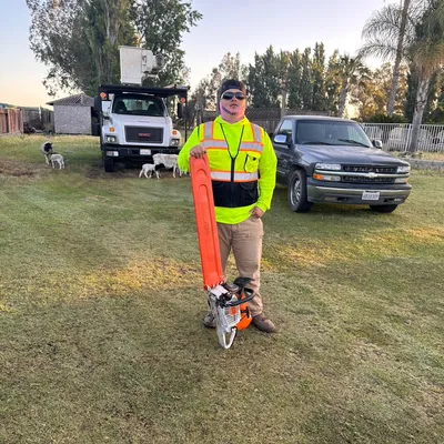 Monterey Tree Service