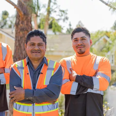 MC Tree Service