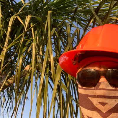 Aviles Tree Care Service