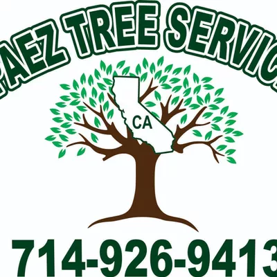 Paez tree service