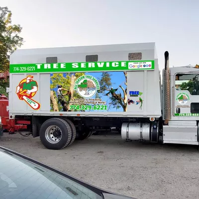 All season tree services & Landscaping