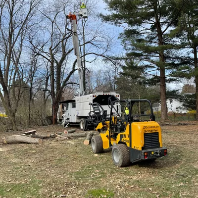 A.J.L. Tree Service