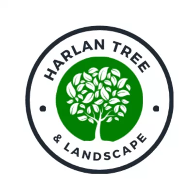 Harlan Tree and Landscape