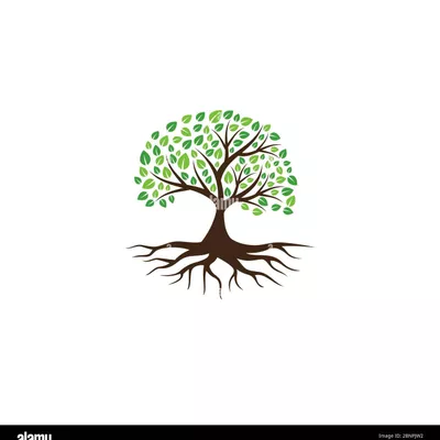 Esquivel’s tree service