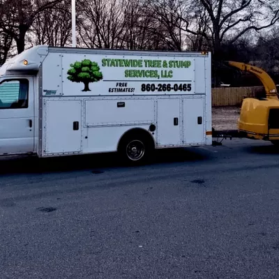 Statewide Tree & Stump Services, LLC