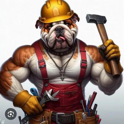 BULLDOG