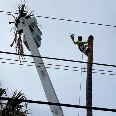 Juarez Tree Service