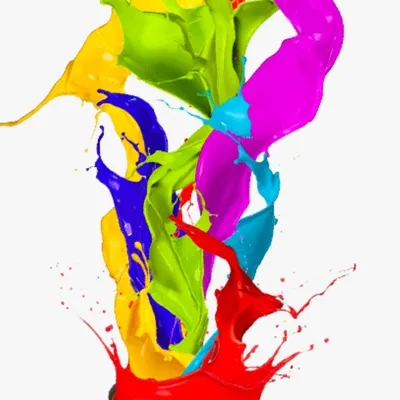 Ivyrose.painting &drywall