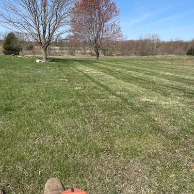 Delta lawn care and landscaping