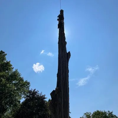 A & R Tree Services & More Inc.