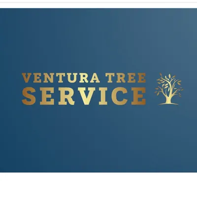 Ventura tree service & landscaping service inc