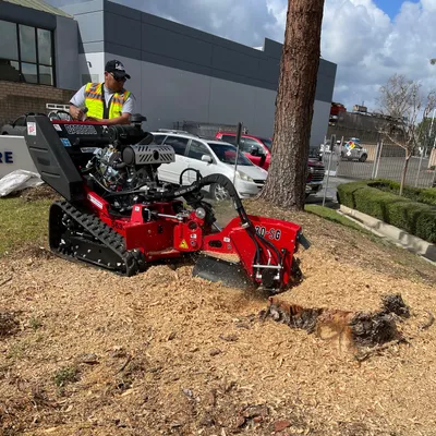 Romero’s Tree Service
