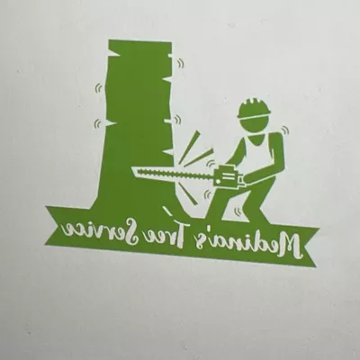 Medina’s Tree Service