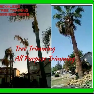 Dees Tree Trimming