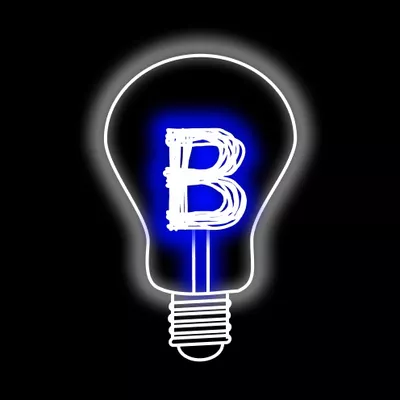 Balezin LLC
