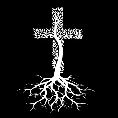 Deep Roots Services