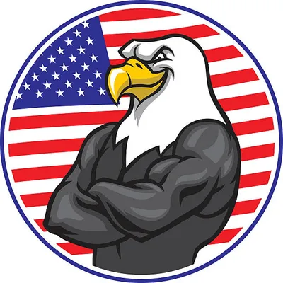 UNITED DISPOSAL, LLC