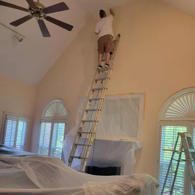 Deluxe Painters