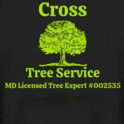 Andrew Cross