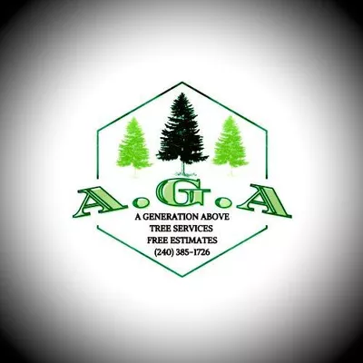 A Generation Above Tree Services