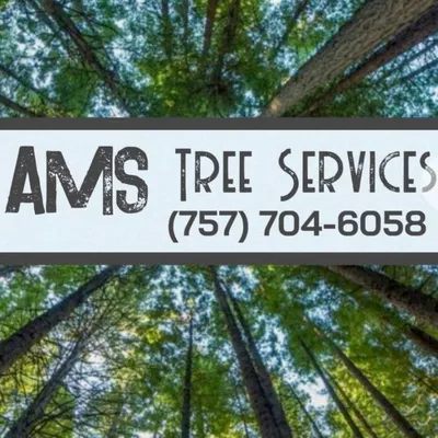 AMS Tree Services, LLC