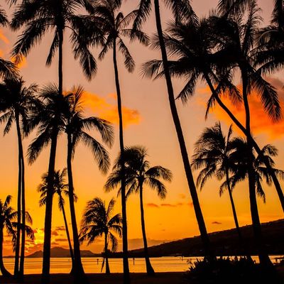 Hawaiian Breeze Pearson’s Co.