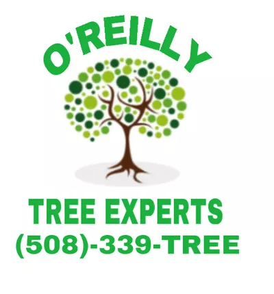 O'Reilly Tree Experts Trees R Us